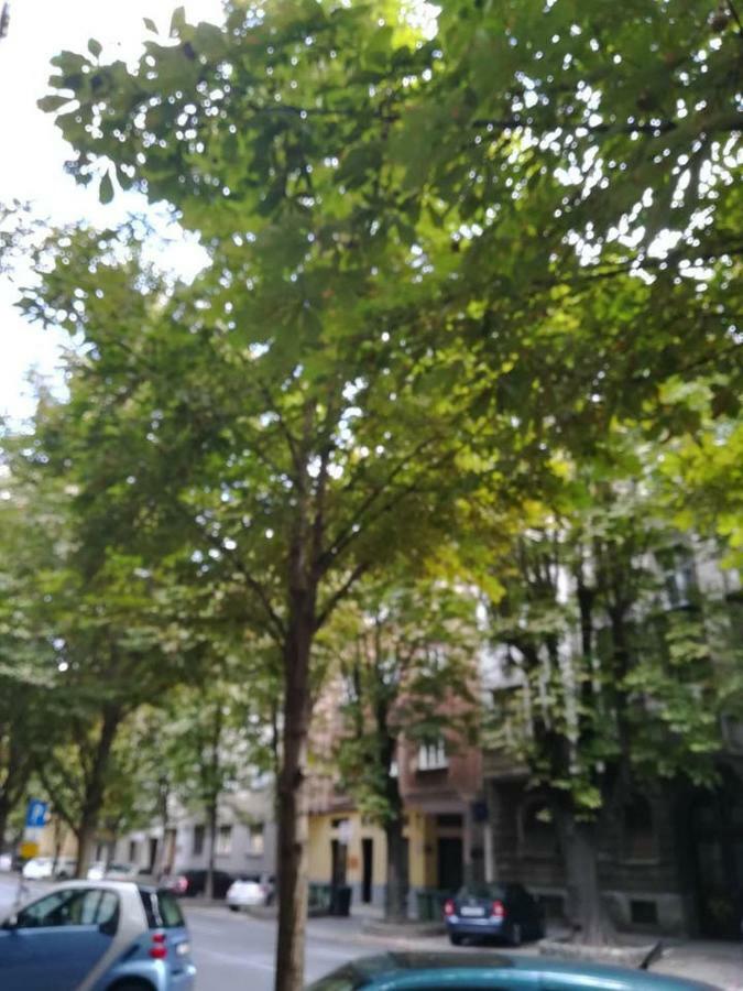 Dreno Apartman Zagreb Exterior foto